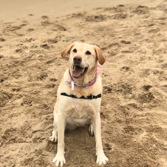 Profile Picture of Charles Bartlett (@csb087) on Poshmark