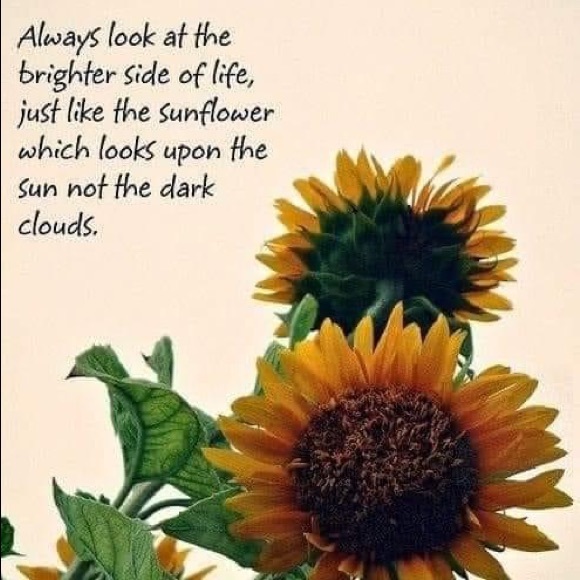 Profile Picture of Amanda Trout (@amandatrout893) on Poshmark