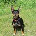 Profile Picture of Dawn Franklin (@dawn.franklin.9480) on Facebook