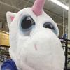 Profile Picture of Jacob Picard (@jacobpicard6) on Tiktok