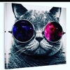 Profile Picture of Dustin Scherle (@@dustinscherle) on Tiktok