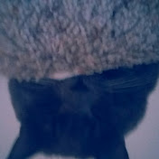 Profile Picture of Andrew Fournier (@andrewfournier7191) on Youtube