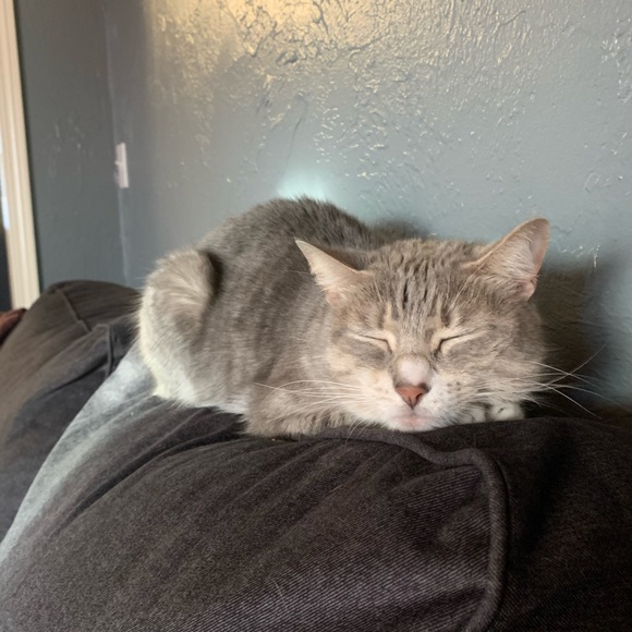 Profile Picture of Wesley Ruedy (@wesr98) on Poshmark