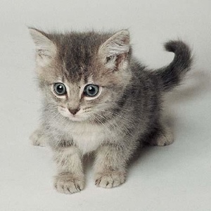 Profile Picture of David Parkhurst (@124138872) on Myspace