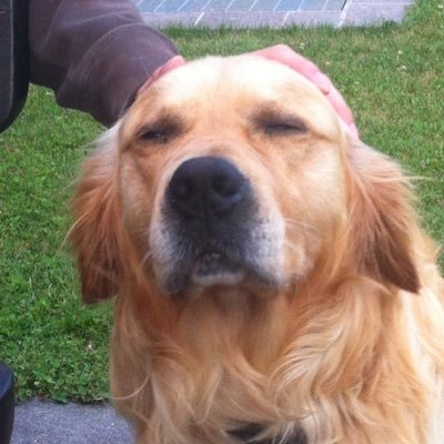 Profile Picture of Silvia (@silvia_cora) on Twitter