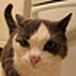 Profile Picture of Daniel Everton (@split-second-photography) on Flickr