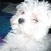 Profile Picture of Diane Trawick (@diane.trawick) on Facebook
