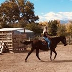 Profile Picture of Toli Siebers (@toli.anne) on Instagram