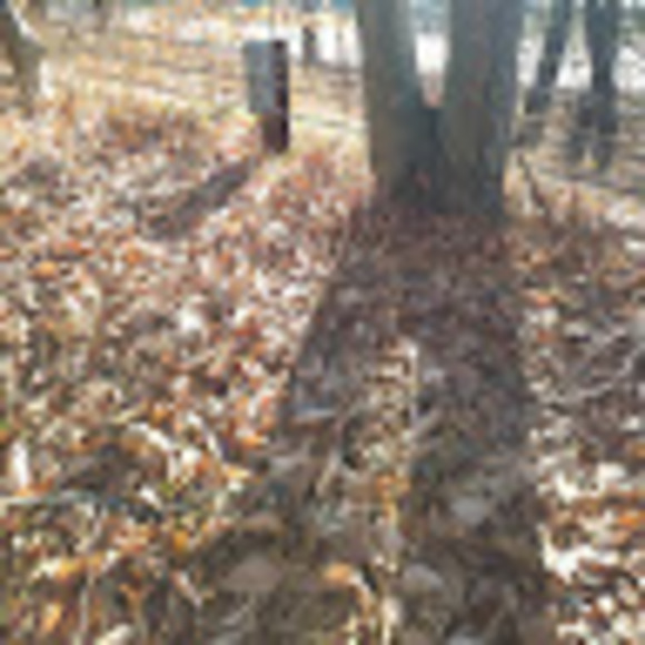 Profile Picture of Jordan Garrity (@jgarrity66) on Poshmark