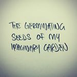 Profile Picture of Claudell Claude (@germinatingseeds) on Instagram