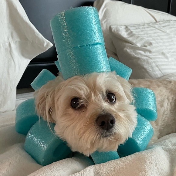 Profile Picture of Tamara Keck (@kecks4) on Poshmark