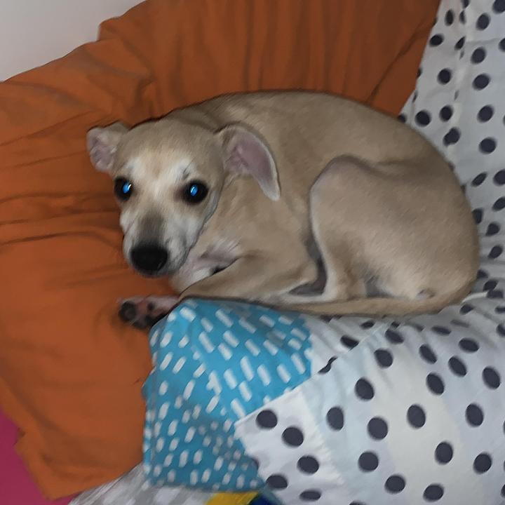 Profile Picture of _Alexanderaday131 (@_alex_anderaday) on Tiktok