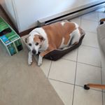 Profile Picture of David Stradley (@david.stradley.754) on Instagram