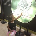 Profile Picture of Vidhya Ramachandran (@vidhya_vignesh) on Instagram