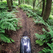 Profile Picture of Andrew Phillips (@theboypandalad) on Youtube