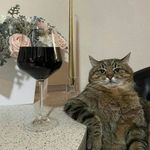 Profile Picture of Shanti Winiger (@nicolbombardi) on Instagram