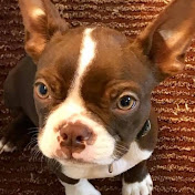 Profile Picture of Phyllis Kirby (@pkirby16) on Youtube