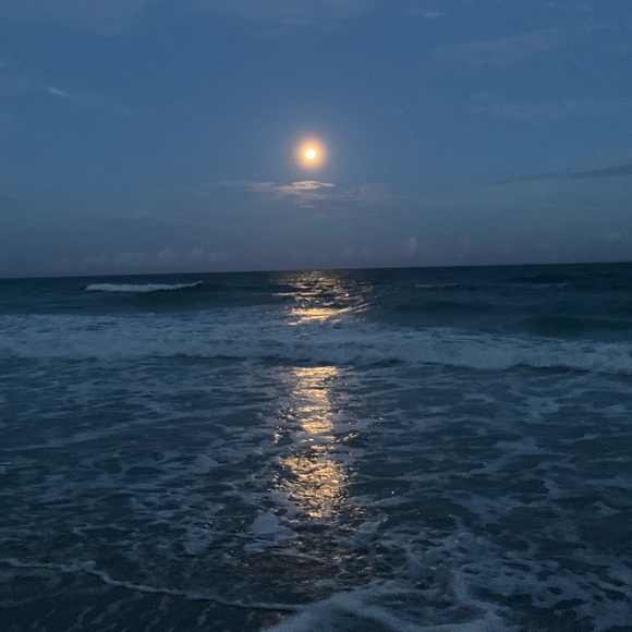 Profile Picture of Leela Leela (@lylav2021) on Poshmark