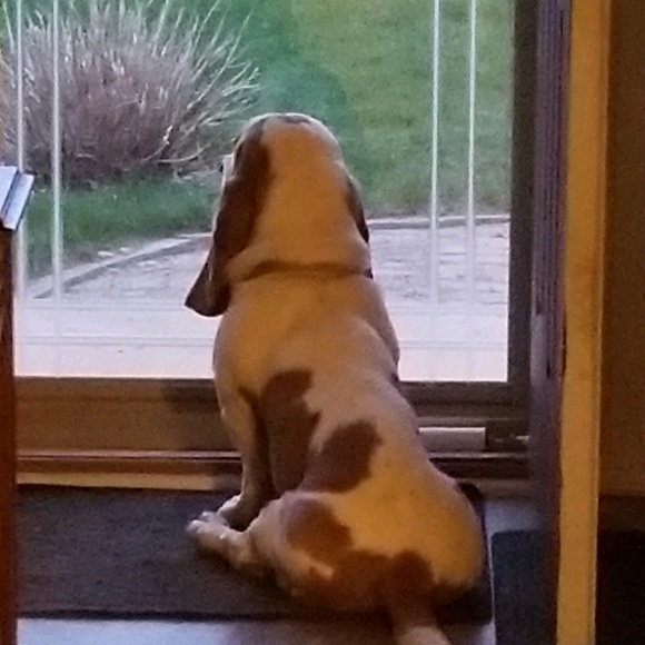 Profile Picture of Jodi Verweire (@tpp585) on Poshmark