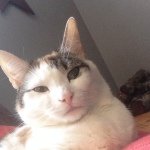 Profile Picture of Debbie Fiddler (@debbie990104) on Instagram