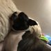 Profile Picture of Priscilla Murphy (@priscilla.murphy.52056) on Facebook