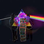 Steve - Instagram Profile Picture of Steve (@stevenrennerr) on Instagram