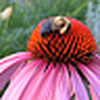 Profile Picture of florkowski.sandy (@florkowski.sandy) on Flickr