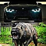 Profile Picture of hazem-mahmoud-a- (@hazem_mahmoud_a_) on Instagram