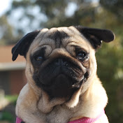 Chloe Bartlett - Youtube Profile Picture of Chloe Bartlett (@chloebartlett8630) on Youtube