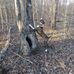 Profile Picture of Grant Simmons (@grant.simmons.54584) on Facebook