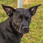 Lisa Borowsky - Instagram Profile Picture of Lisa Borowsky (@borowskylisa) on Instagram