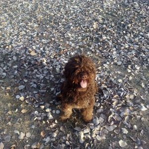 Julia Valenzuela - Twitter Profile Picture of Julia Valenzuela (@Jmv5669) on Twitter