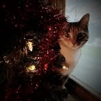 Profile Picture of Joyce Holts (@joyce.holts.3) on Facebook
