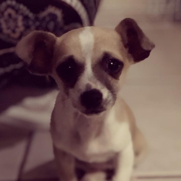 Profile Picture of Nabila Boukhalfa (@nab71230) on Poshmark