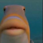 Profile Picture of Matthew Olvera (@fancy_feesh) on Instagram