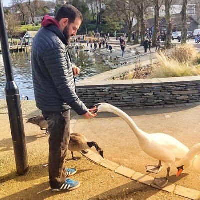 Profile Picture of Sean Heald (@heald26) on Twitter