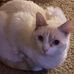 Profile Picture of Valerie Swift (@valerie.swift.71) on Facebook