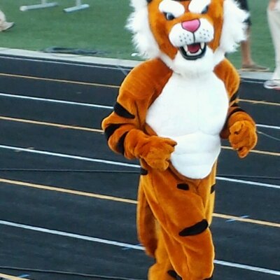 Profile Picture of Greg McCormack (@gregorymccormac) on Twitter