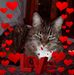 Profile Picture of Dawn Marie Zuback (@dawn.zubackmiller) on Facebook