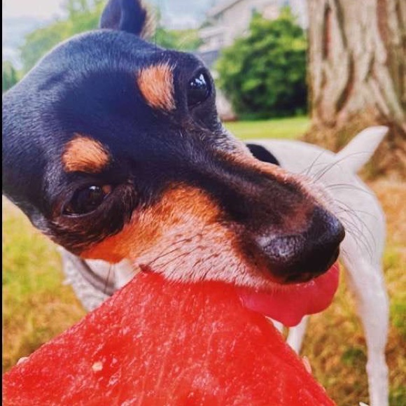 Profile Picture of Isabella Vetrano (@bella_vetrano06) on Poshmark