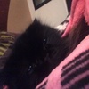 Profile Picture of Autumn Forrest (@@autumnforrest2) on Tiktok