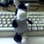 Profile Picture of Thomas Stepanek (@steppix) on Flickr