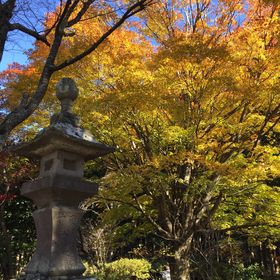 Gregory Prestel - Pinterest Profile Picture of Gregory Prestel (@GPAGAP) on Pinterest