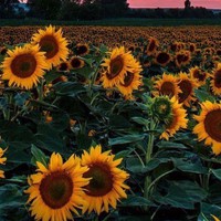 Profile Picture of Giselle Adame (@giselle-adame-2) on Quora