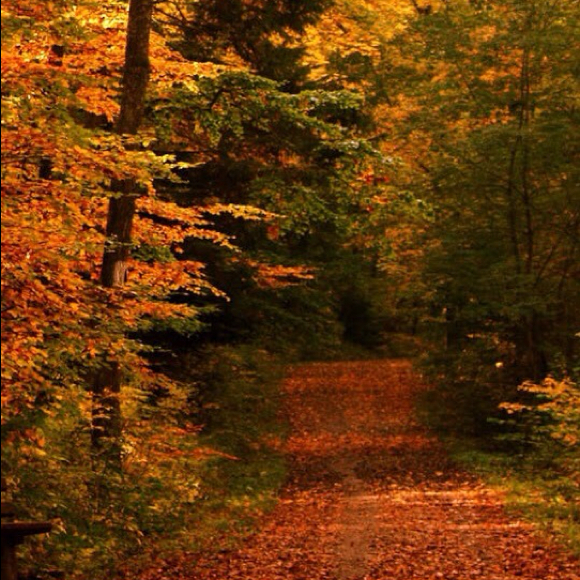 Profile Picture of Krista Bjoraker (@kbjoraker) on Poshmark