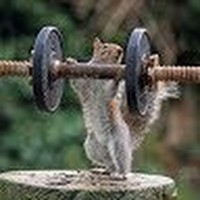 Profile Picture of Doug Purdie (@doug-purdie) on Quora