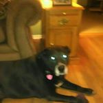 Profile Picture of Michael Gossman (@michael.gossman.9) on Instagram