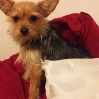 Profile Picture of Clift Dylan (@clift-dylan) on Quora
