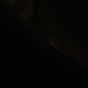 Profile Picture of Aaron Brymer (@aaronbrymer3559) on Youtube