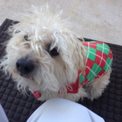 Profile Picture of Andy H Roh (@AndyHRoh1) on Twitter